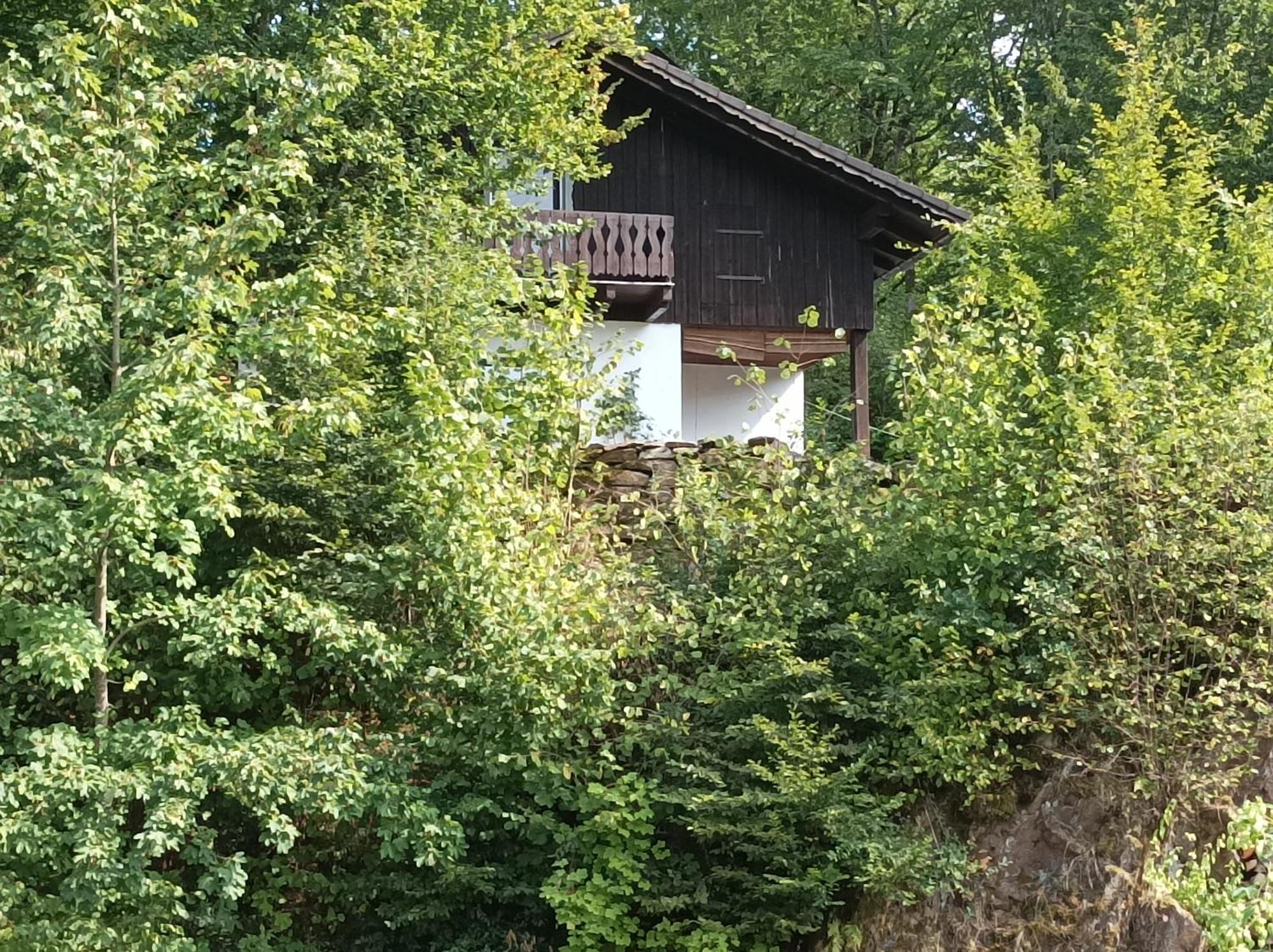 Burgberg Schoellnstein Iggensbach Kültér fotó