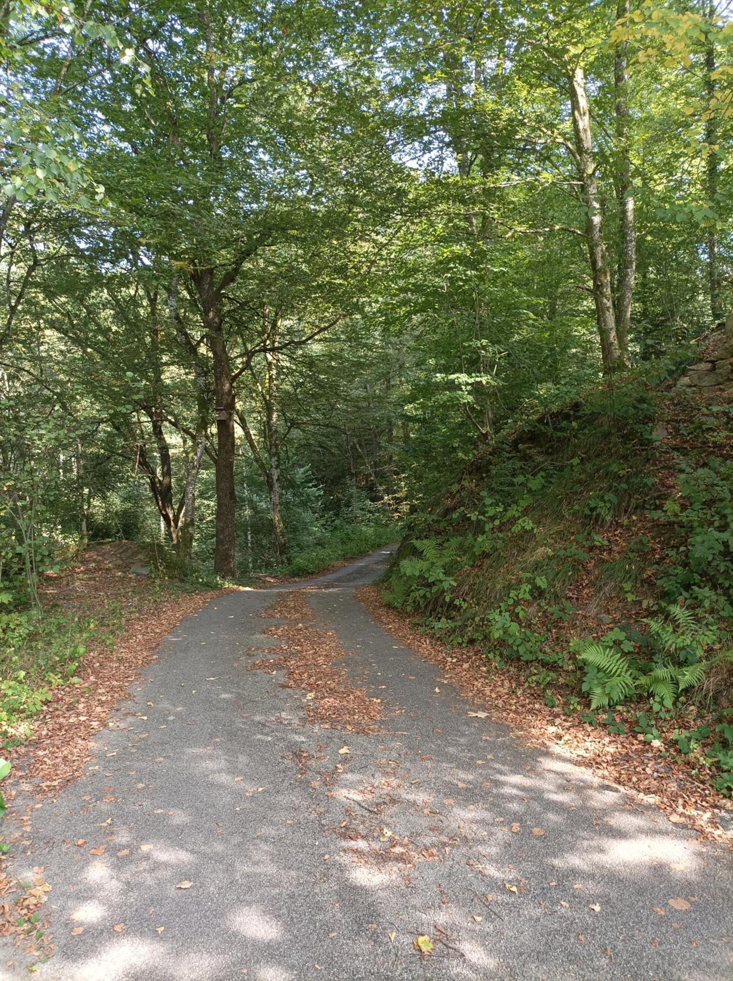 Burgberg Schoellnstein Iggensbach Kültér fotó