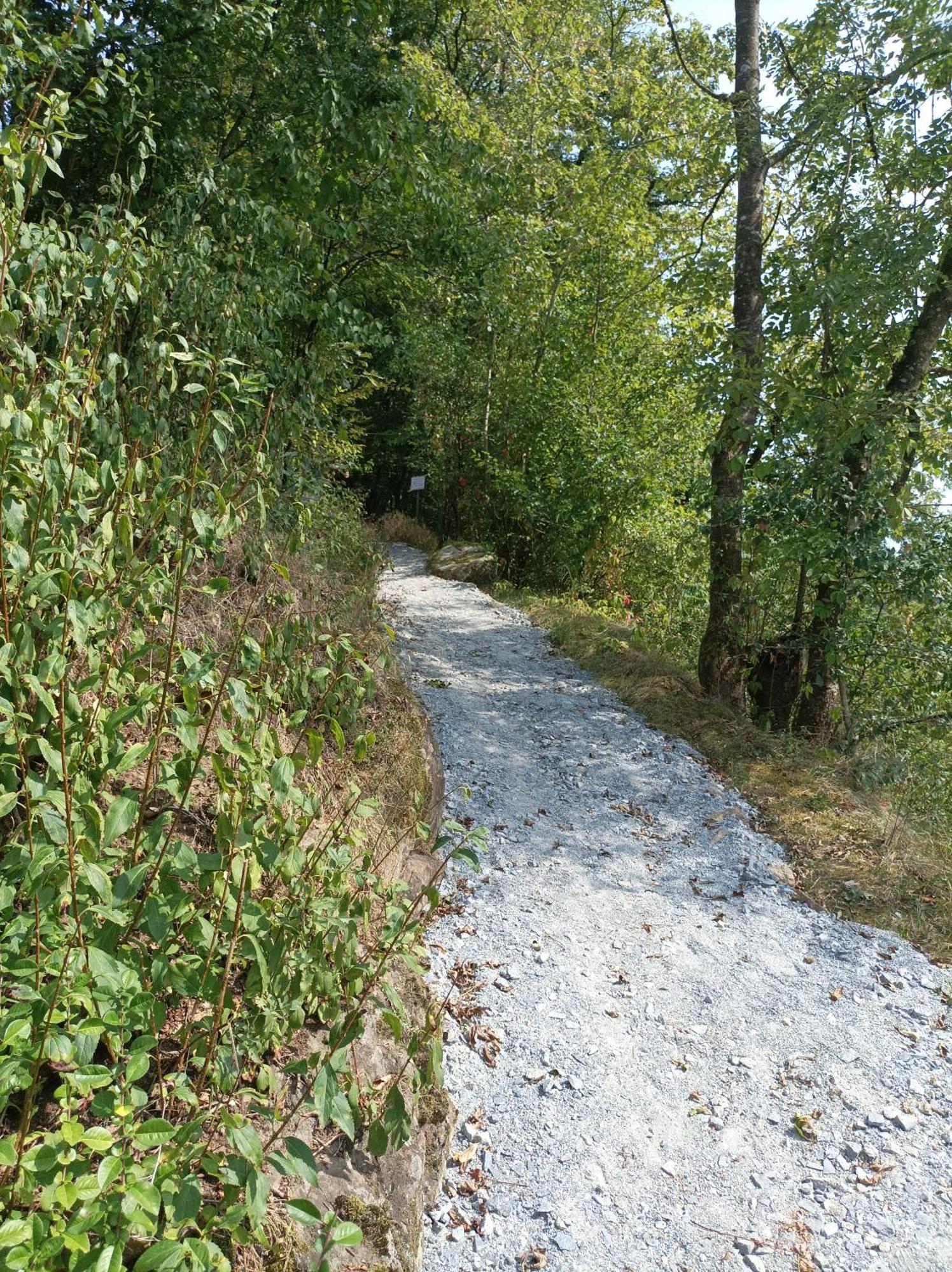 Burgberg Schoellnstein Iggensbach Kültér fotó
