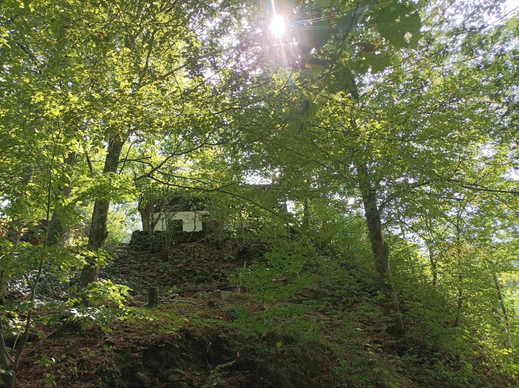 Burgberg Schoellnstein Iggensbach Kültér fotó